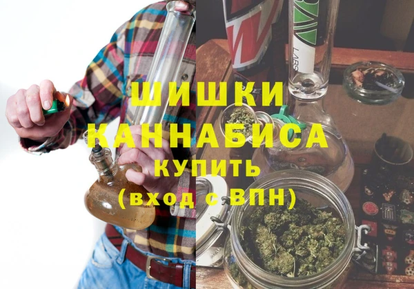 индика Вяземский